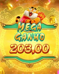 pingol bet